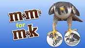 M&M's for M&K
